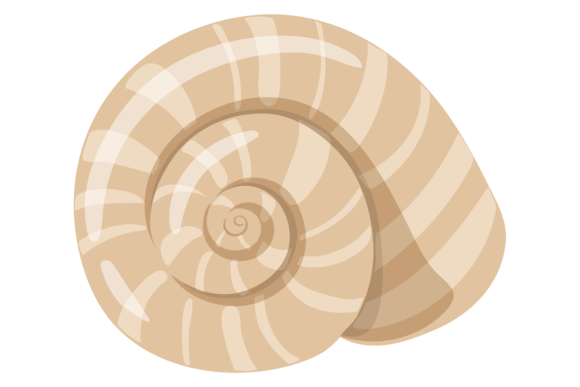 Download Ocean Seashell Icon. Aquatic Shell Swirl - Premium Resources